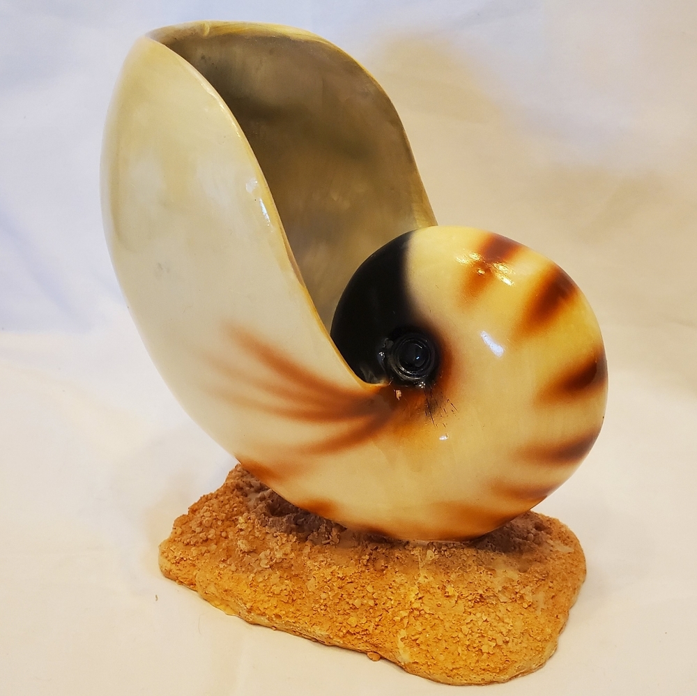 Seashell Shaped Vintage Porcelain and Coral Sculpture Centerpiece Planter